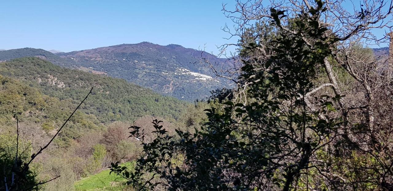 Vila Molino De Santos Benarrabá Exteriér fotografie
